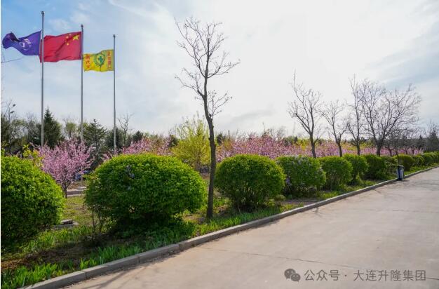 大連升隆-春天里的花園式工廠